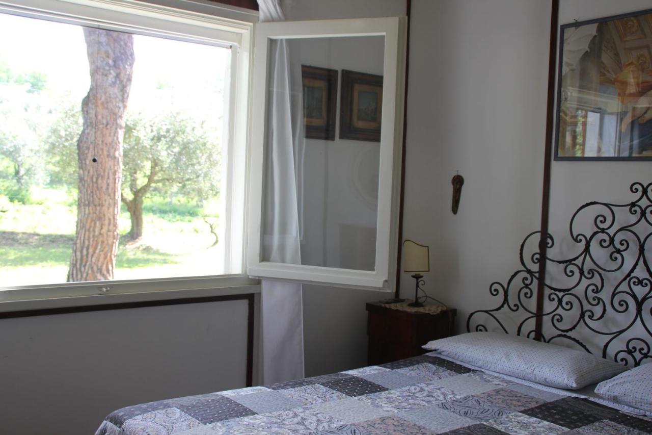 La Villa Del Nonno Montefelcino Экстерьер фото