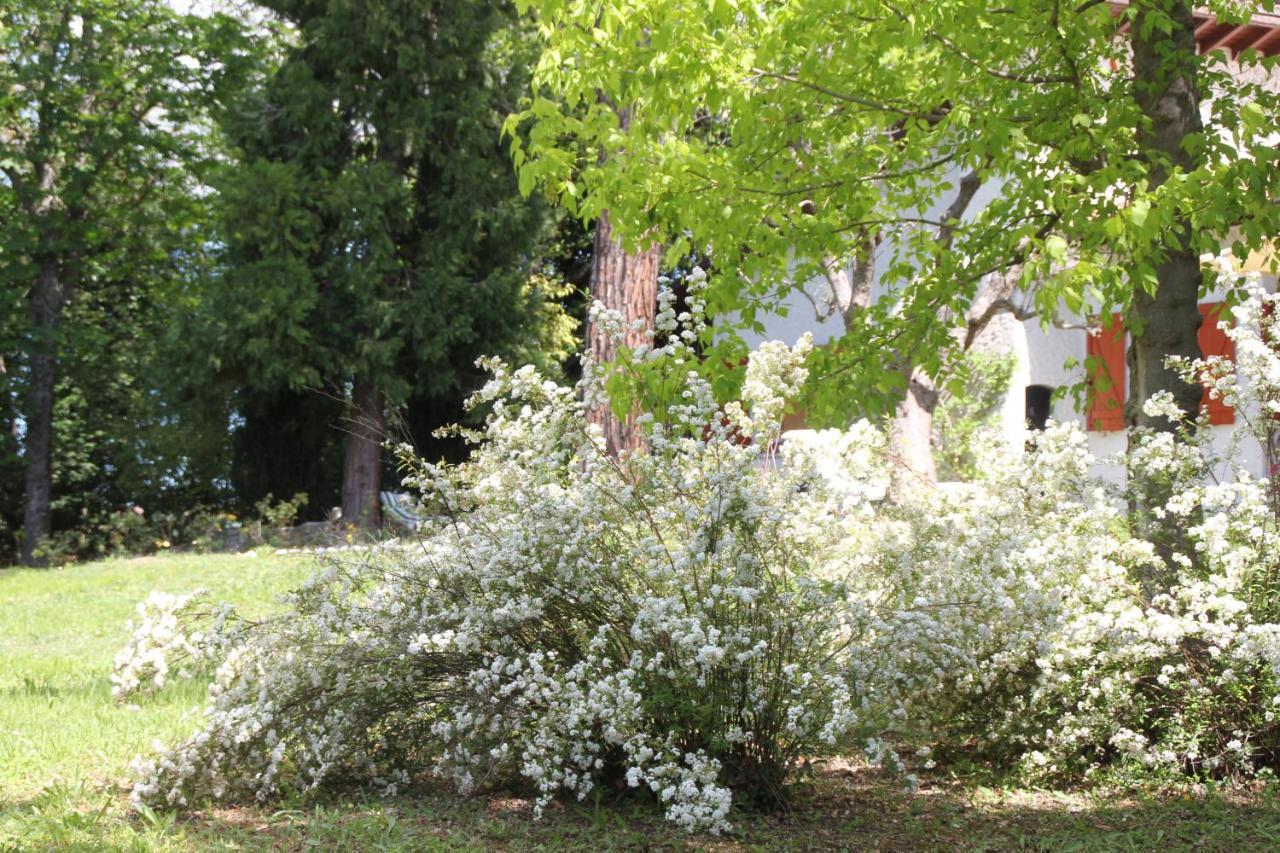 La Villa Del Nonno Montefelcino Экстерьер фото